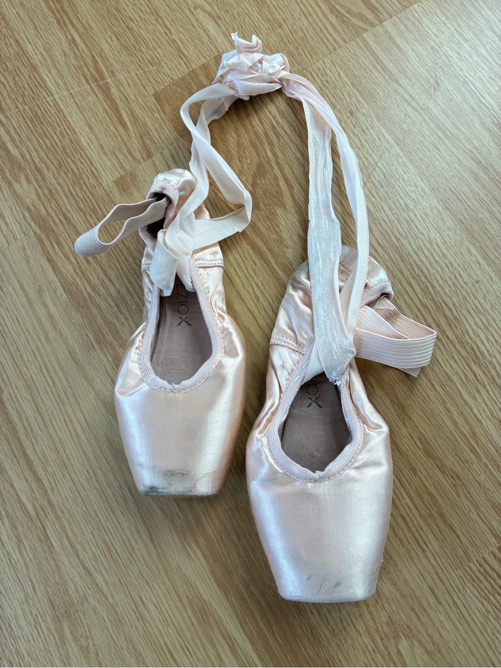 Pointe Shoes